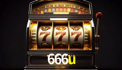 Interface Premium 666u
